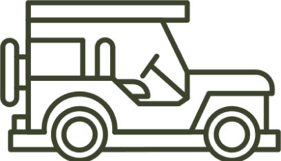 Safari