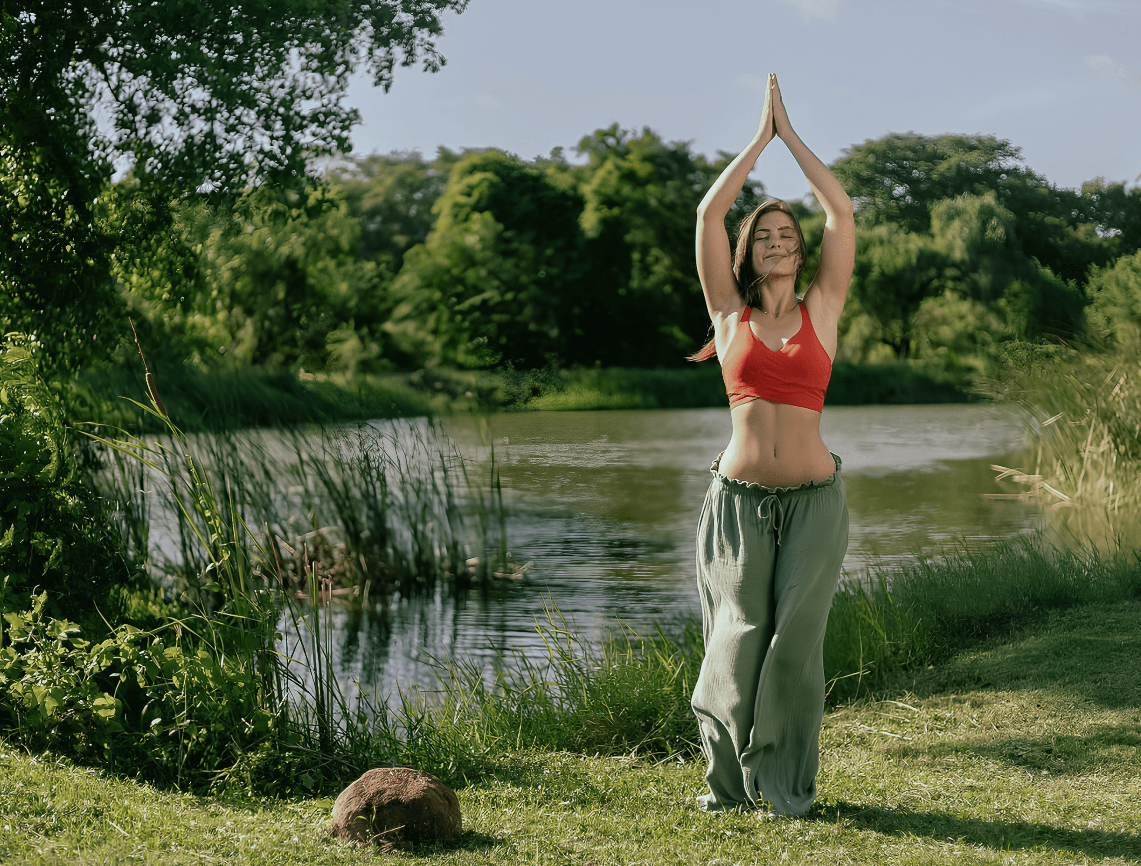 Wellness