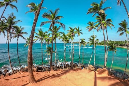 Coastal adventure planned by Sri Lanka holiday specialists