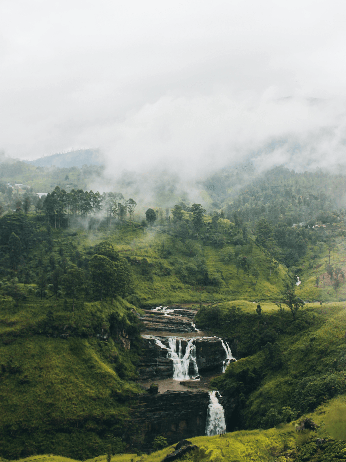 Tea plantation tour Sri Lanka — hill country cultural itinerary